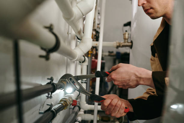 Best Clogged Drain Plumber  in La Vista, NE
