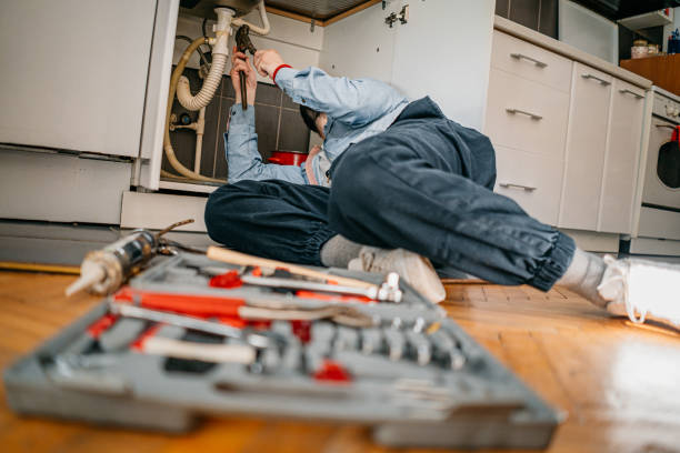 Best Residential Plumbing Services  in La Vista, NE