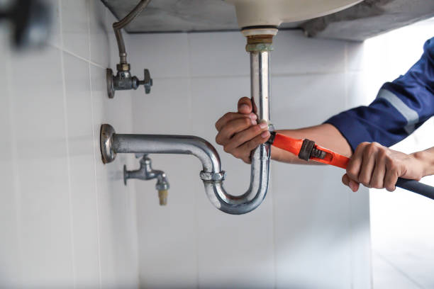 Best Emergency Plumber  in La Vista, NE