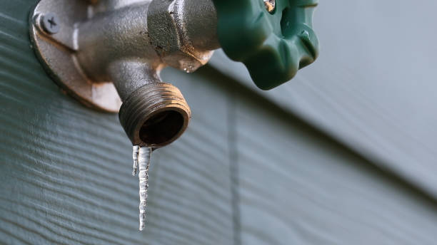 Best Plumbing Inspection Services  in La Vista, NE