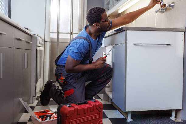 Best Sewer Cleaning Services  in La Vista, NE